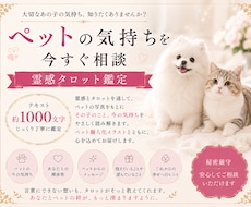 大切なペットを美しく具現化＆気持ちを鑑定します ⭐️ 世界に一つだけのメッセージと具現化アートをお届けします
