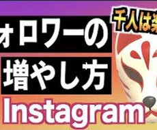 instaのフォロワー毎日1000人増やします