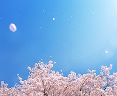 離婚、発達障害、介護、終末期でのお悩み相談ます イメージ1