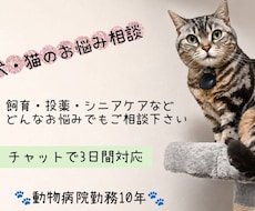 動物病院勤務10年が犬猫の相談承ります イメージ1
