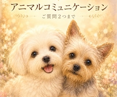 心に寄り添うアニマルコミュニケーションをします 〜【ご質問2つまで】ペットロス、今を生きるペットさんに〜