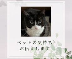 ペットの気持ちお伝えします イメージ1