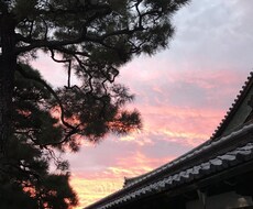 一息つきたくありませんか？お話相手になります イメージ1