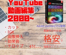 YouTube等の動画編集をおこないます イメージ1