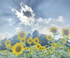 恋愛相談、お悩みなど受かっています イメージ1