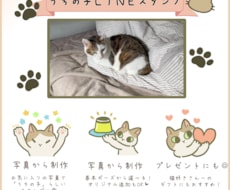 シンプルかわいい猫のLINEスタンプ作成します イメージ1