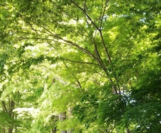 今だれかと話がしたいママの気持ちに寄り添います イメージ1