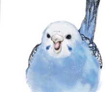 動物のイラスト承ります イメージ1