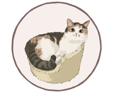 愛嬌のある猫ちゃんのイラストを描きます イメージ1