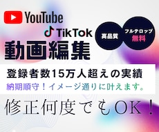 オールジャンル動画編集できます イメージ1