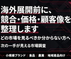 海外展開のための市場調査と仮説整理を支援します 海外に売りたいけど、どの市場を見るべきか分からない…方に