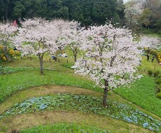 何でも話して下さい愚痴でも聞きます イメージ1