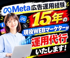 Meta広告（Instagram）の運用代行します イメージ1