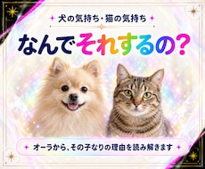 犬の気持ち・猫の気持ちをオーラから読み解きますます 「なんでそれするの？」その子なりの理由があります