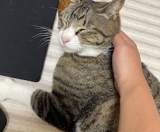 楽しむことを大切にできるようにします イメージ1