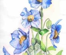 イラストを通じて、あなたの想いを届けます。 イメージ1