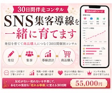 30日間SNS集客導線を一緒に育てます 発信を育てて商品購入につなぐ30日間個別コンサルを行います