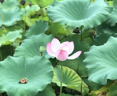貴方のお悩み伺います イメージ1