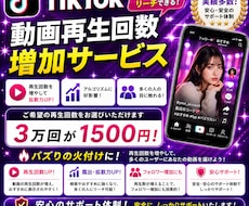 TikTok再生回数3万回増やします イメージ1