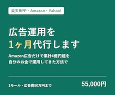 楽天RPP・Amazon広告を1ヶ月運用代行します イメージ1