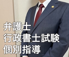 弁護士が行政書士試験の個別指導をします イメージ1