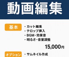 ビジネス系動画編集 をおこないます イメージ1