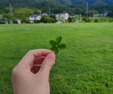 貴方の心に寄り添います イメージ1