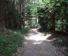 寝る前の10分間瞑想のテクニックをお教えします １日の終わりに心が落ち着かないあなたへ