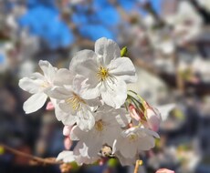 気軽に話したい方向け！あなたのお悩みに寄り添います イメージ1