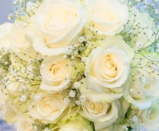 結婚式準備まるごとサポート！なんでも相談できます イメージ1