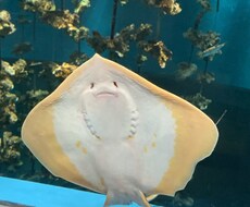 お話聞きます イメージ1
