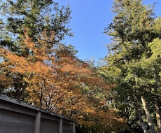 恋愛全般の御相談に乗らせていただきます