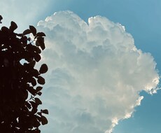 才能、本音を言語化します あなたの使命が分かります