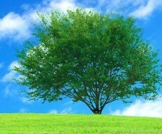 貴方を良いも悪いも占います イメージ1