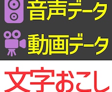 高速文字起こし・srt作成代行します 〜Premiere Proの修正作業を効率化します〜