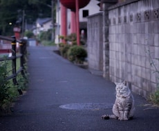 写真加工・修正をします イメージ1