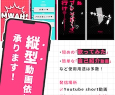 shortなどの縦型MV作成します 納期10日～！魅力を引き立てる演出をします！