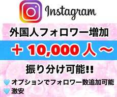 Instagramのフォロワー増やします 質の高い外国人フォロワーが10000人増えます！振り分け◎