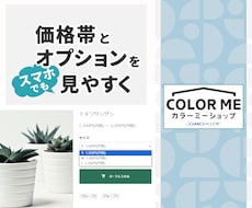 カラーミーショップ オプション価格を見やすくします ドロップダウンだからスマホでも分かりやすい！！