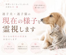 迷子犬・迷子猫の現在の様子を霊視します イメージ1