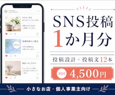 SNS投稿の投稿計画と投稿文12本を作成します イメージ1