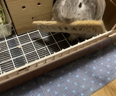 愚痴でも悩みでもなんでも聞き〜ます イメージ1