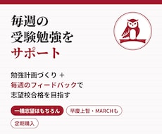 現役一橋生が毎週の勉強を見て難関大合格に導きます イメージ1