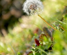 様々な風景の写真を提供致します イメージ1