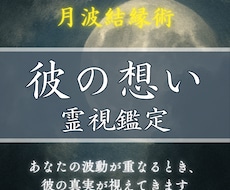 知りたい彼の想い、霊視でしっかり読み解きます 言葉にできない彼の想いを霊視で読み解きお伝えします