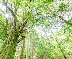 もしものことがあったら？不安な気持ち受け止めます イメージ1