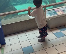 強制認知についてお教えします イメージ1