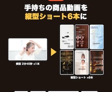 商品動画をSNS用縦型ショート6本に再編集します イメージ1