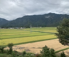 疲れた心のお話をやさしく聞きます 否定せず、友達のような距離感で寄り添います