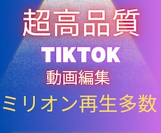 Tiktok/迅速・高品質/編集します イメージ1